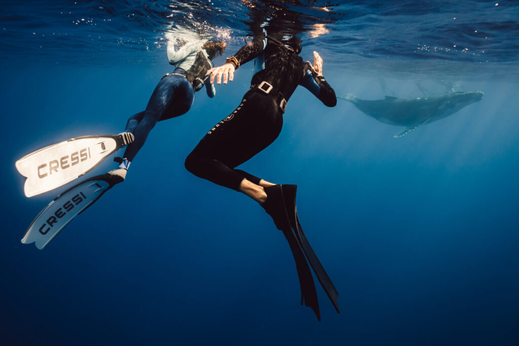 Gemeinsam manifestieren – zwei Freediver halten sich tief unter Wasser an den Händen, kraftvolle Verbindung in Freiheit und Vertrauen