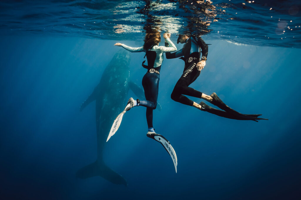 Paar mit langen Flossen schwimmt unter Wasser – Symbol für Tiefe, Transformation und die Suche nach Wahrheit
