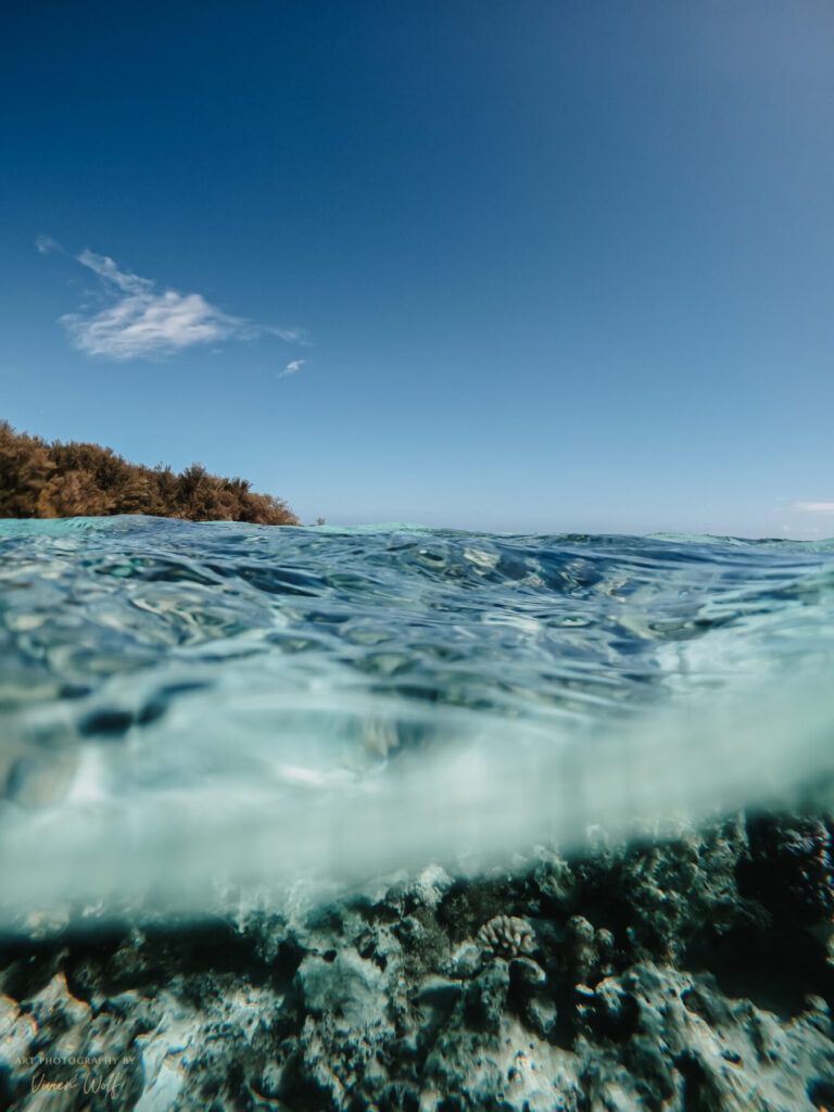 Bewusstes Warten wählen – halbuntergetauchtes Meer, Wasseroberfläche teilt klare Luft- und Unterwasserperspektive, sanfte Ruhe und Geduld spürbar.