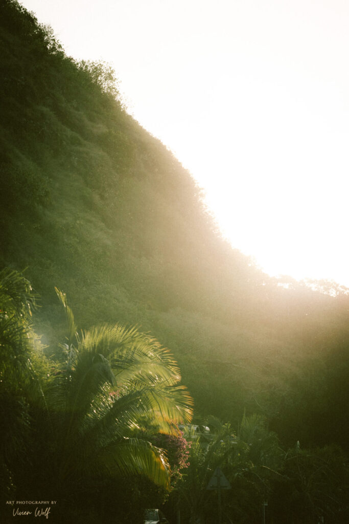 Edenische Einladung – Sonnenstrahlen fluten eine tropische Berglandschaft und öffnen den Raum für „We are Messengers of Eden“.