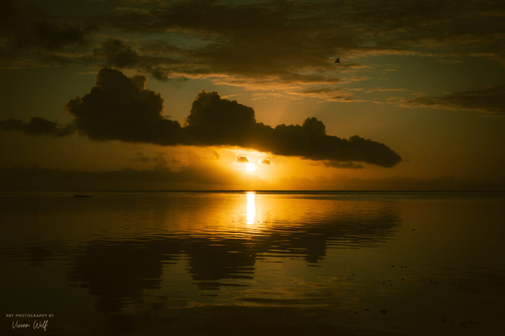 Licht der Offenheit – goldener Sonnenuntergang spiegelt sich im ruhigen Meer, Weite, Frieden und die stille Kraft innerer Heilung