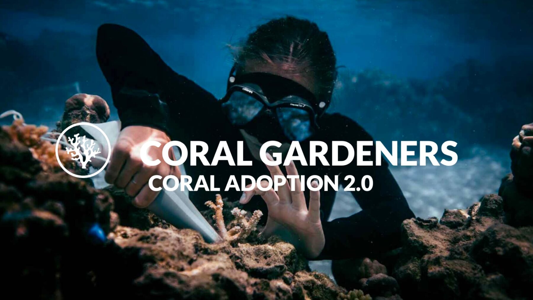 Taucherin pflanzt Korallen im Meer von Moorea – Darstellung der Coral Gardeners’ Mission, neue Korallen zu züchten und Riffe durch wissenschaftliche Innovation zu regenerieren