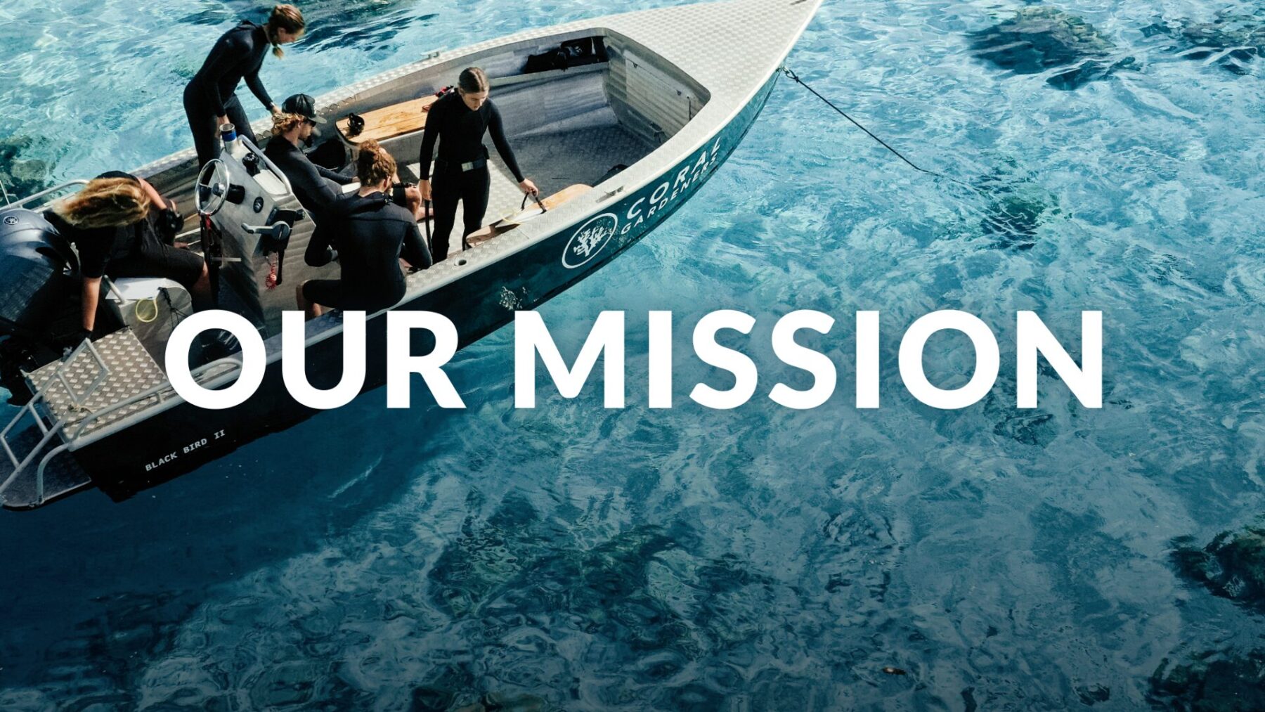 Team von Coral Gardeners arbeitet an Bord eines Bootes über klarem türkisblauem Wasser – Symbol für Zusammenarbeit, Forschung und den Schutz der Meeresökosysteme