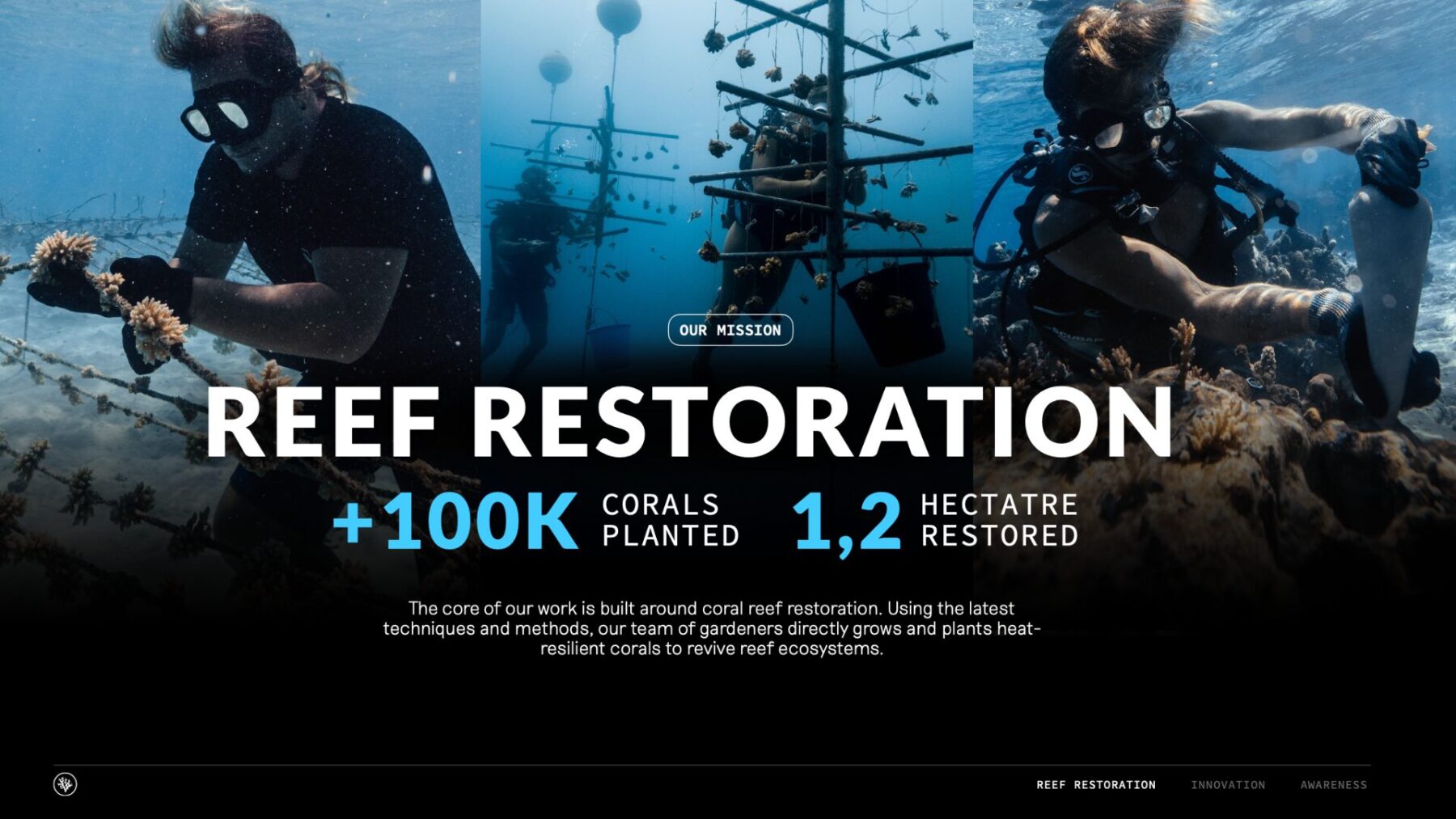 Taucher pflanzen neue Korallen an Unterwasserstrukturen, um zerstörte Riffe zu restaurieren – Coral Gardeners haben über 100.000 Korallen gepflanzt und 1,2 Hektar Riff wiederhergestellt
