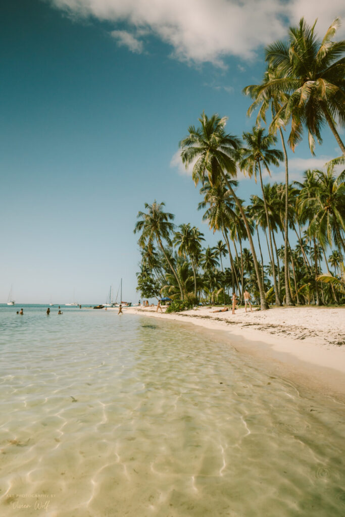 Unendliche Weite: Palmenstrand mit kristallklarem Wasser und leiser, tropischer Ruhe.