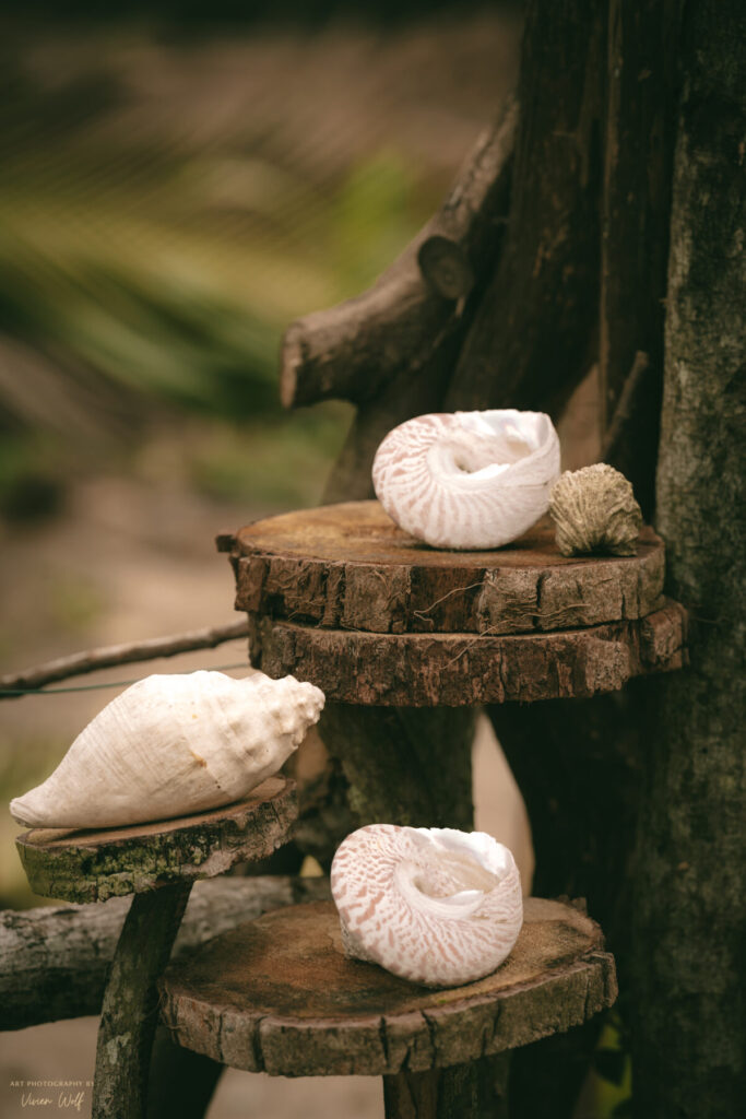 Spirituelle Gaben – Muscheln auf einem Holzaltar symbolisieren den Nahuatl-Segen und die heilende Befreiung von Schuld in deiner Linie.