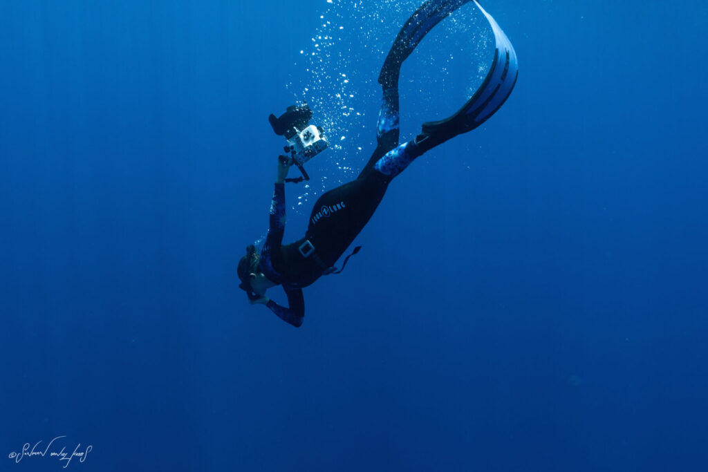 Frequenz harmonisieren – Freediver taucht tief ins Blau und stimmt seinen Atem im Spiel mit den Schwingungen der Tiefe ab.