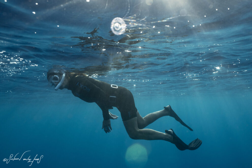 Führung ins Selbst – Freediver gleitet entschlossen durchs klare Blau und erlebt, wie die Delfine ihn in seine wahre Identität führen.