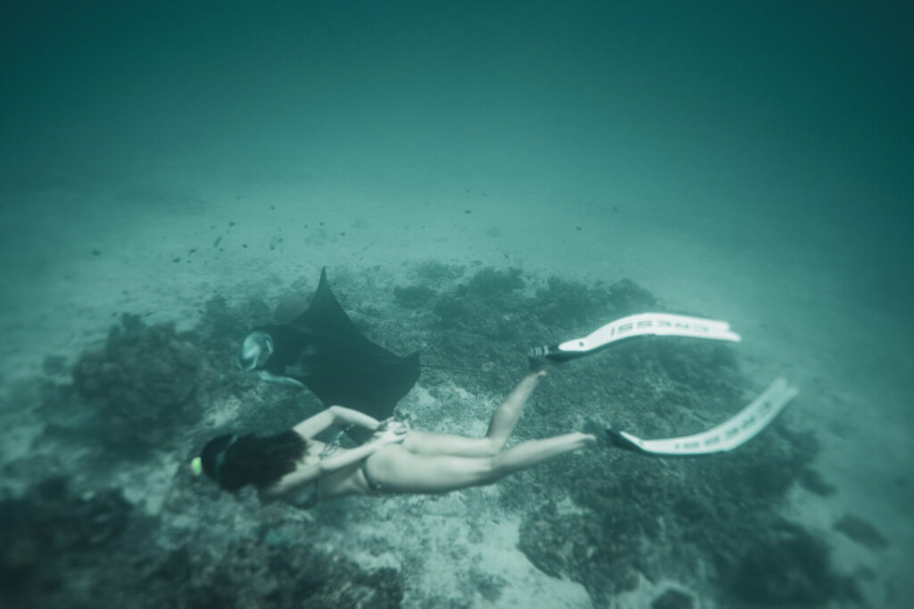 Höchste Frequenz leben – Frau mit Monoflosse schwebt anmutig unter Wasser über Riff, Ausdruck von Leichtigkeit, Stärke und Bewusstsein